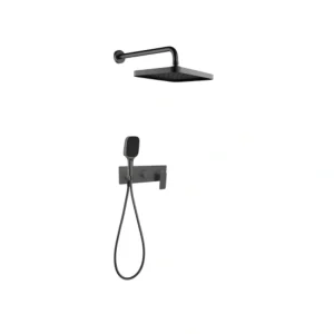 Hotel shower head