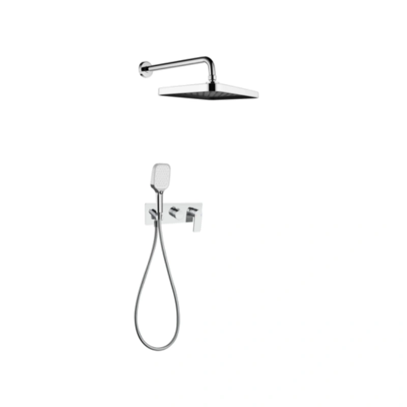 Hotel shower head